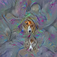 n02088238